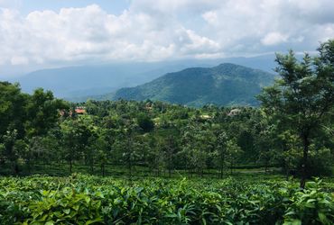 Ponmudi